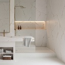 Kador Suite Made-to-measure Shower Tray from Silestone Front