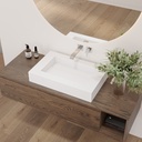Biham Corian® Single Countertop Washbasin